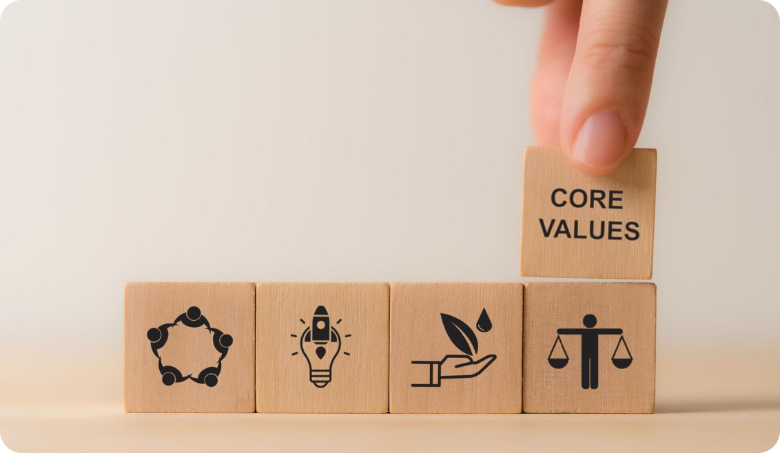 Vision, mission and values